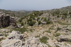 DSCN0125