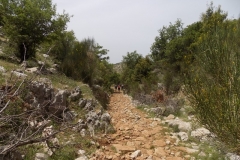 DSCN0134