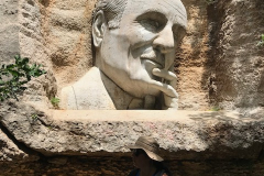 image11
