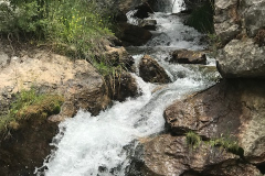 image3 (1)