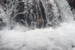 image4 (1)