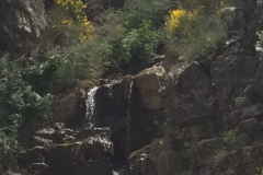 image7 (1)