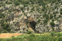 image9 (1)