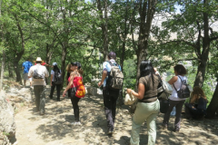 IMG_5847