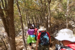 DSCN0010