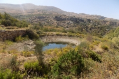 DSCN0037