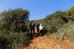 DSCN0010