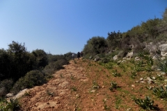 DSCN0014