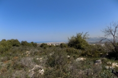 DSCN0015