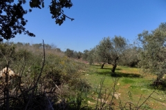 DSCN0030