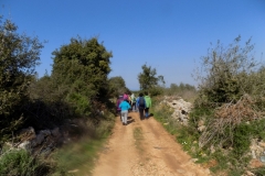 DSCN0070
