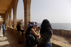 DSCN0091