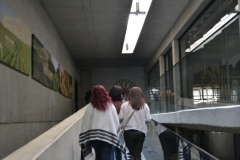 20171112_2707 (Medium)
