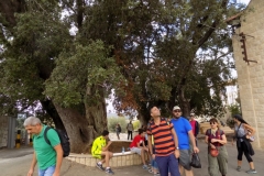 20171001_1661 (Medium)