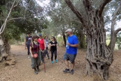 20171001_1664 - Copy (Medium)