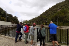 20171001_1686 (Medium)