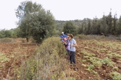 20171001_1713 (Medium)