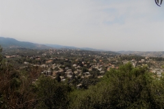 DSCN0006