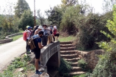 IMG-20181007-WA0026