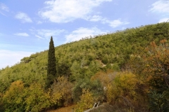 DSCN0049