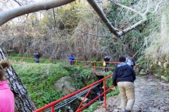DSCN0018