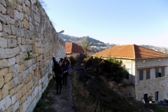 DSCN0022