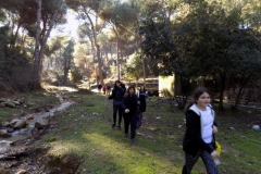 DSCN0040