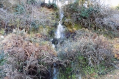 DSCN0049