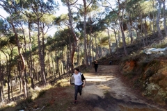 DSCN0050