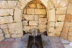 DSCN0055
