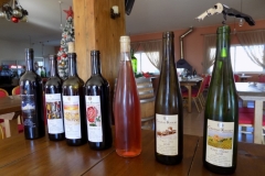 20171216_3846 (Medium)