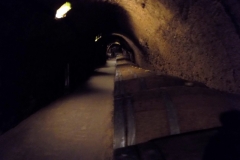 20171216_3851 (Medium)