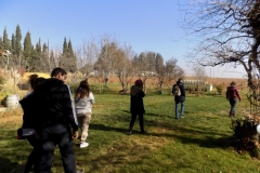 20171216_3856 (Medium)