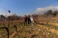 20171216_3858 (Medium)