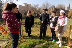 20171216_3859 (Medium)