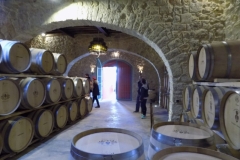 20171216_3870 (Medium)