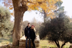 20171216_3871 (Medium)