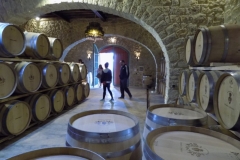 20171216_3873 (Medium)