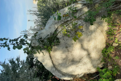 20191222_125215