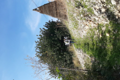 20191222_131934
