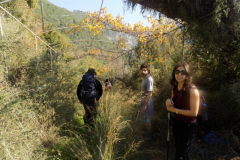 DSCN0129