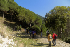 DSCN0131