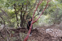 DSCN0014 (Medium)