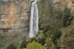 DSCN0058
