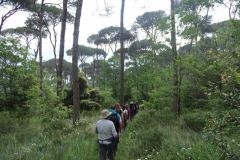 30262145_1618032198252184_600501635083771346_n