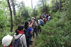 30440870_1618042724917798_5813960167674061768_n