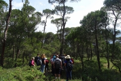 30443029_1618033394918731_3126178078169711199_n