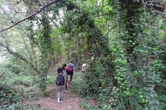 30516560_1618045814917489_8946925586482323039_n