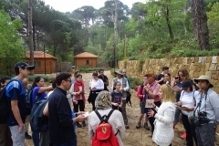 30531354_1618030778252326_2900547659790310994_n