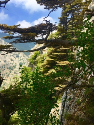 Camping Hike 22-06-2019